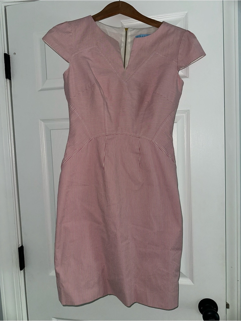 ANTONIO MELANI Pink Striped Cap-Sleeve Sheath Dress, size 2
